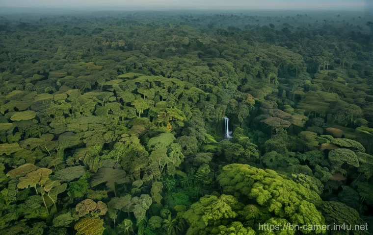 카메룬의 환경 문제와 열대우림 보존 - **"Vibrant and lush, an expansive aerial view of the untouched Cameroon rainforest at sunrise. Golde...